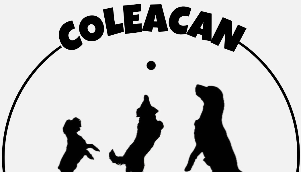 Residencia Canina
