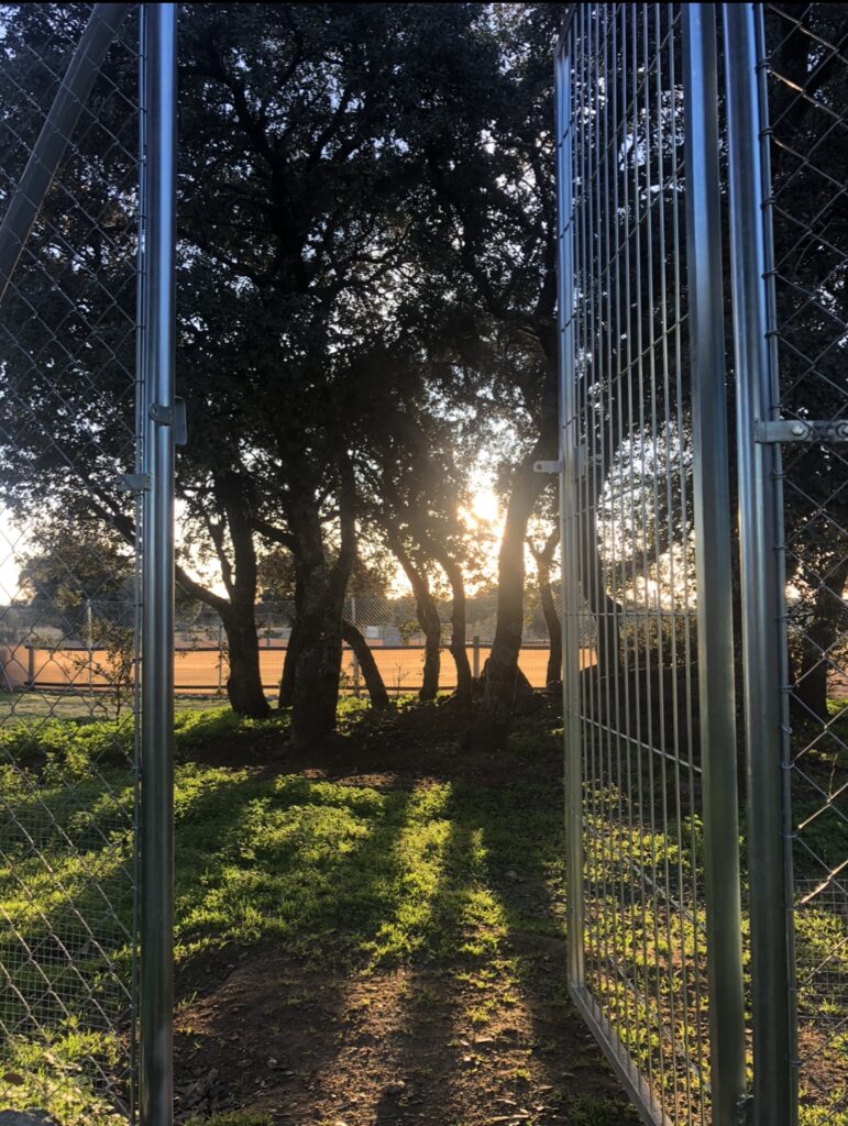 Parque individual para perros de más de 300m2