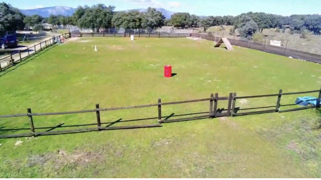 Pista entrenamiento perros, adiestramiento y modificación de conducta. Residencia Canina y guardería perros