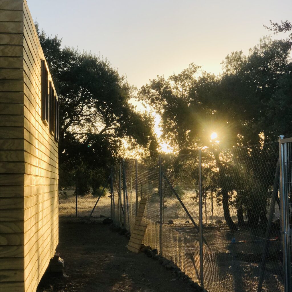 Espacio de descanso nocturno, residencia canina