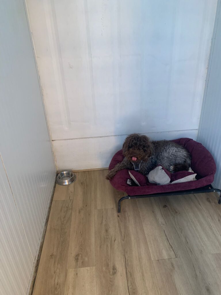 Amplia habitación para tu mascota individual con A/C y calefacción así como una ventana oscilo batiente con mosquitera.
