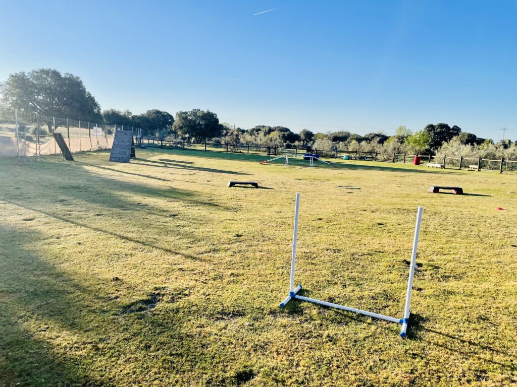 Pista de entrenamiento, adiestramiento y modificación de conducta