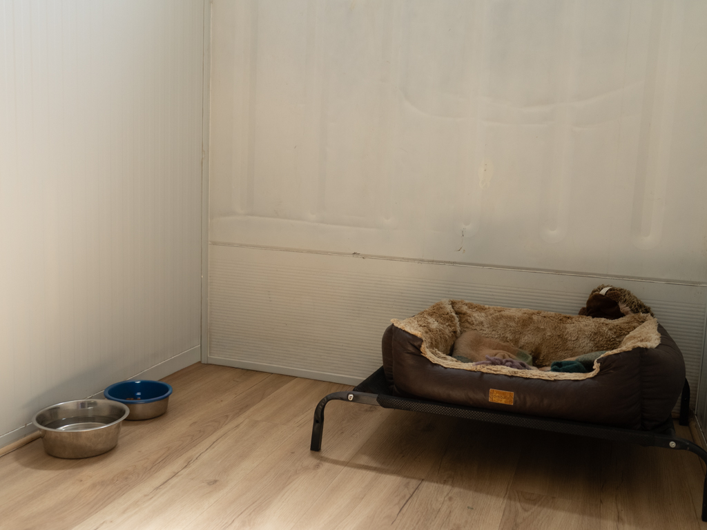 residencia canina,hotel perros, guardería mascota