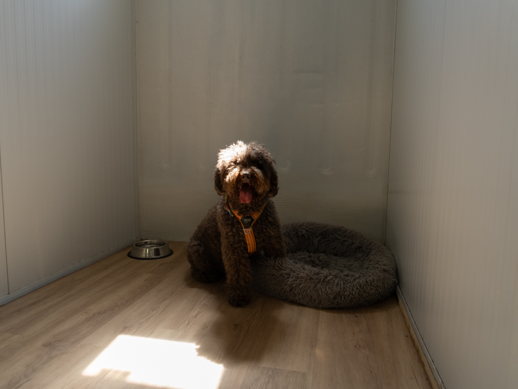residencia canina,hotel perros, guardería mascota